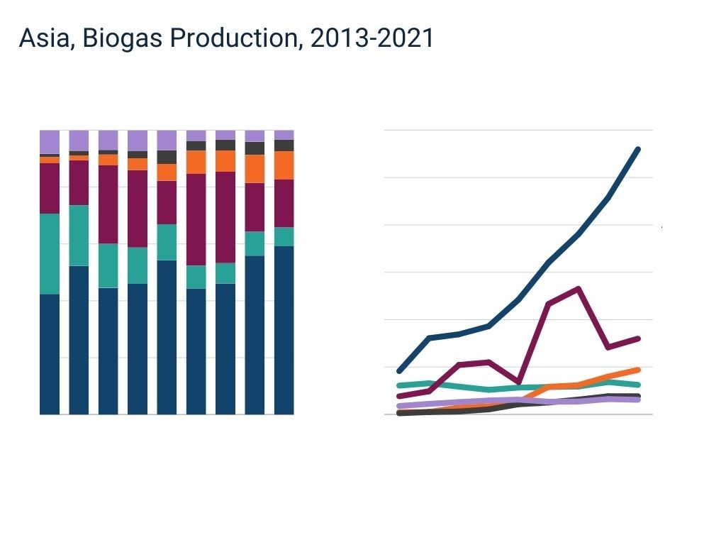 Asia Biogas Production 2013-2021